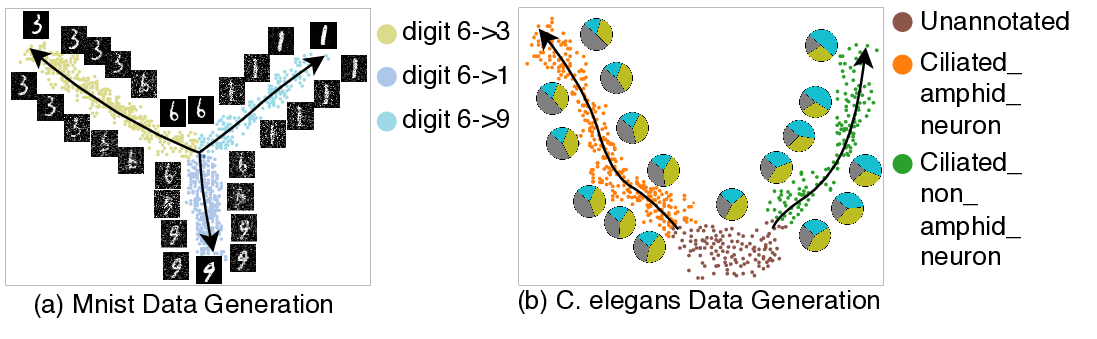 HDTree generative validation on MNIST and C. elegans.