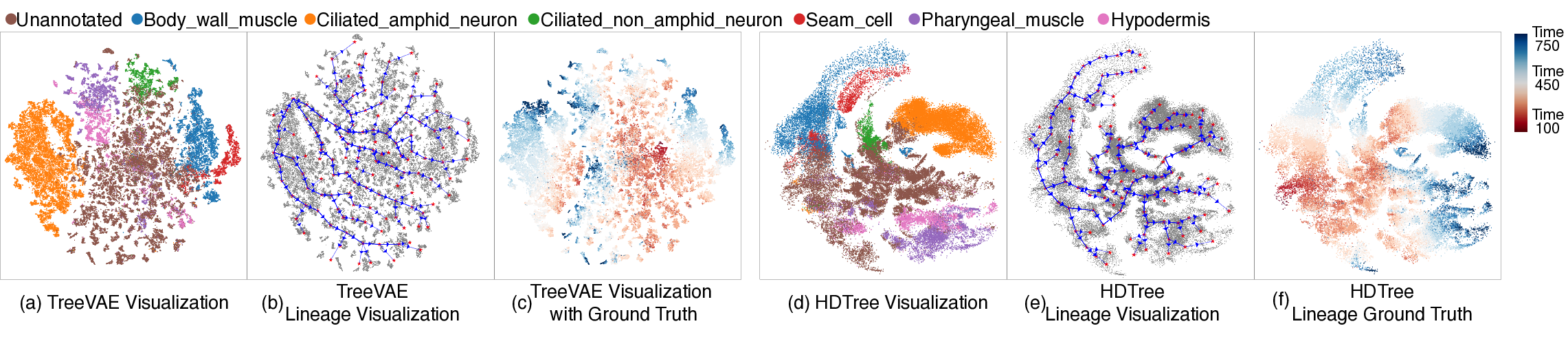 TreeVAE versus HDTree lineage visualization on C. elegans.